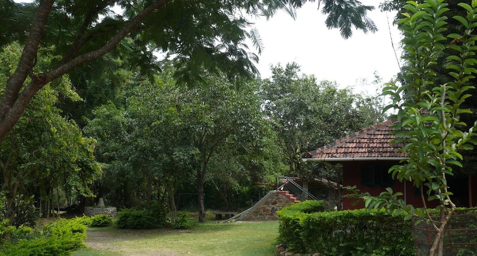 Forest Hills Farm & Guest House (30 Kms from Ooty), Masinagudi 4
